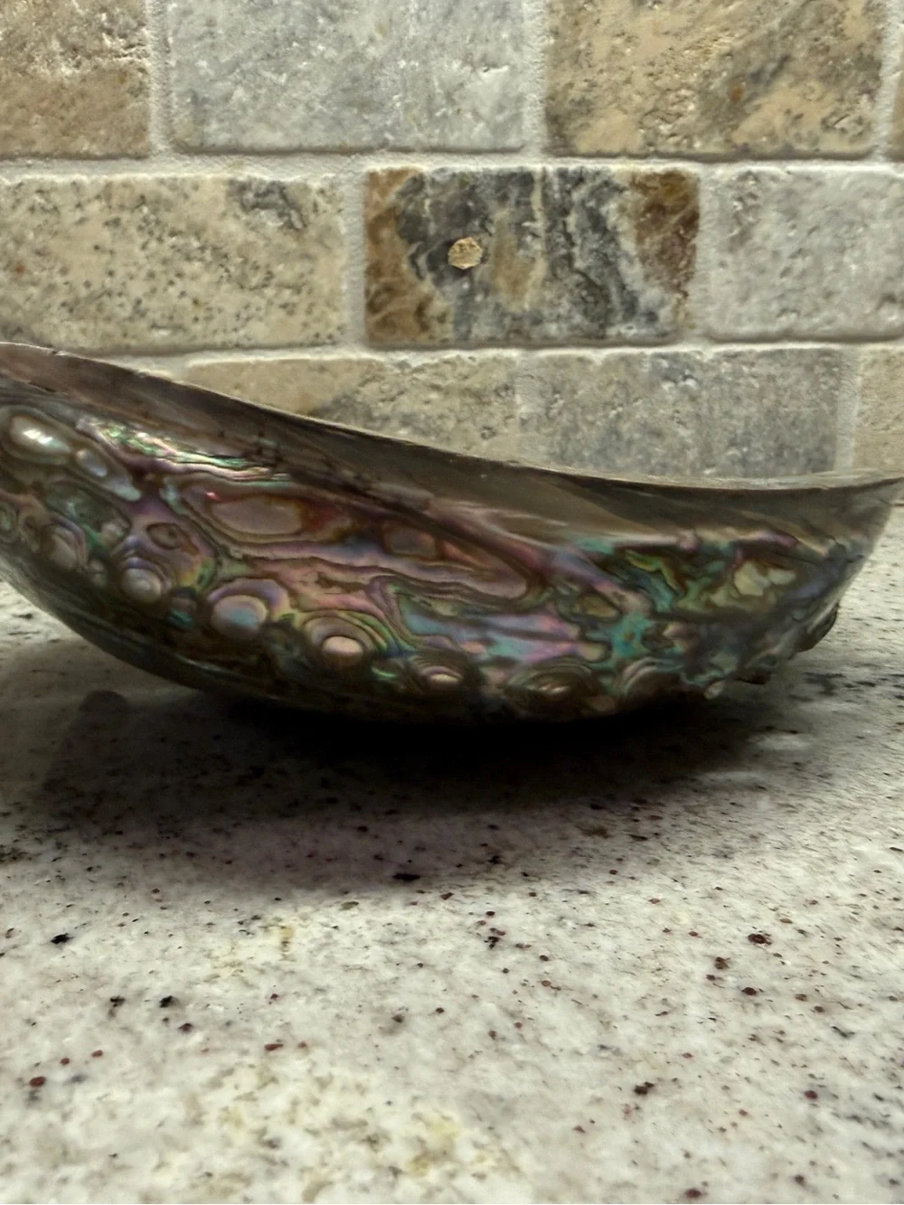 Large Iridescent Abalone Shell Bowl